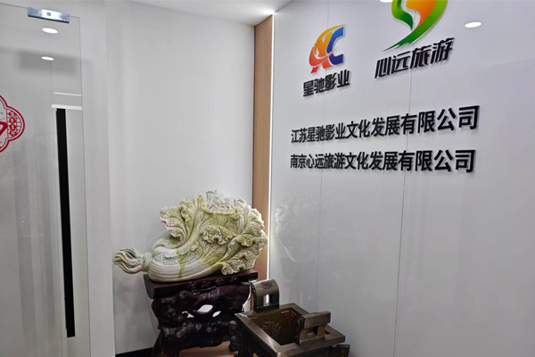 专家6